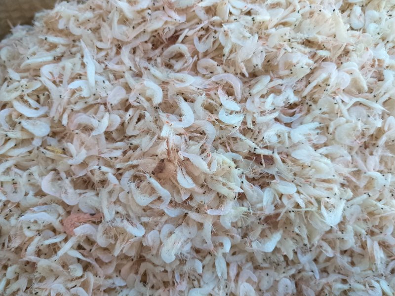 新鲜淡干虾皮特级无盐补钙虾米干货海鲜海产婴儿宝宝即食