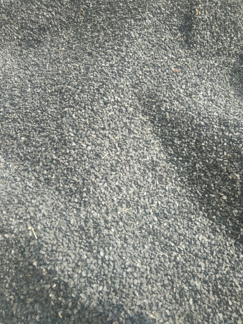 我发着玩的我不卖