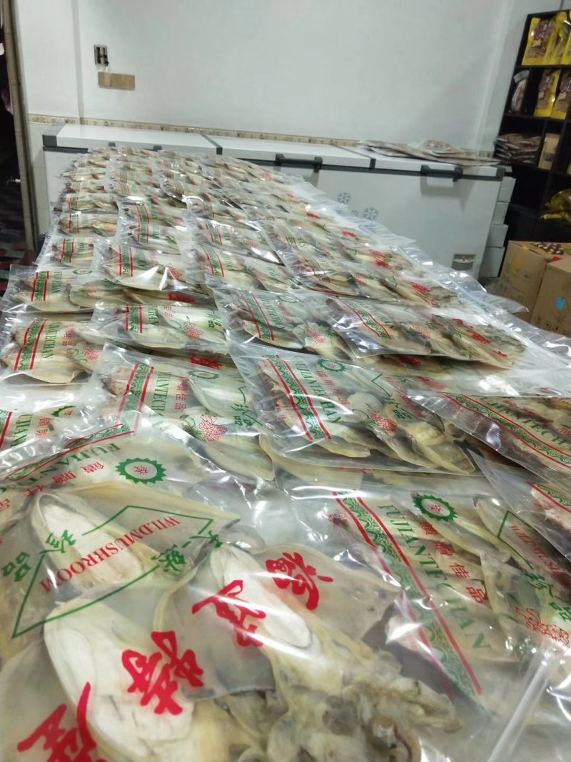大墨鱼，木鱼，目鱼干货新鲜出炉