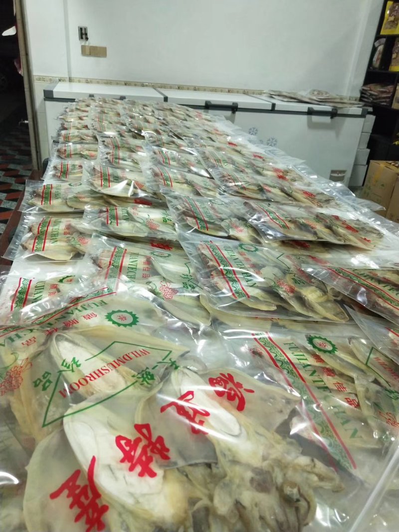 大墨鱼，木鱼，目鱼干货新鲜出炉