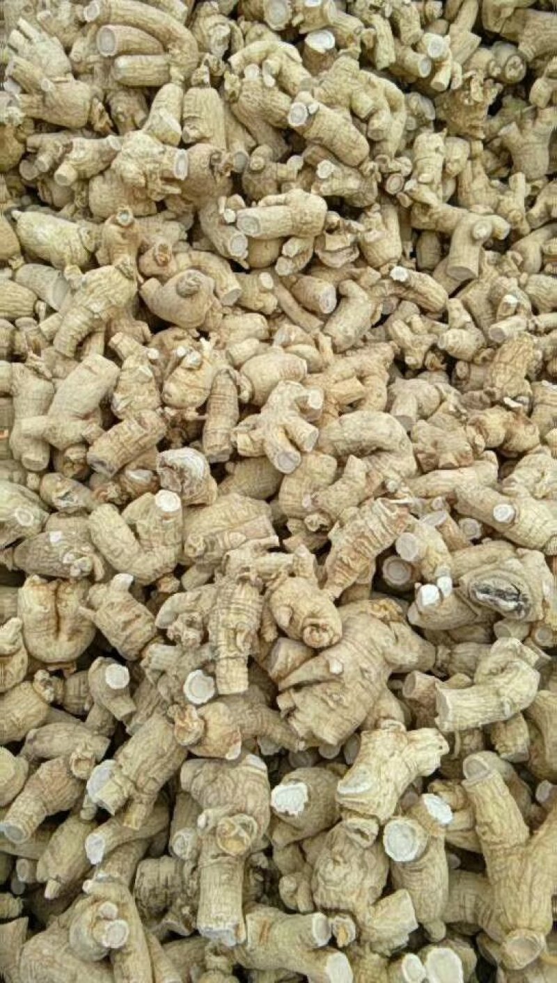 整支西洋参视频打粉，看的见的品质，用的放心