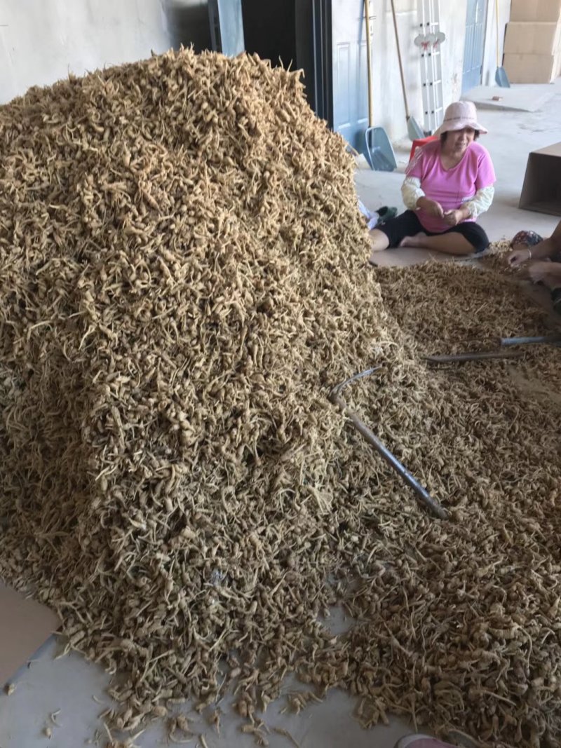 整支西洋参视频打粉，看的见的品质，用的放心