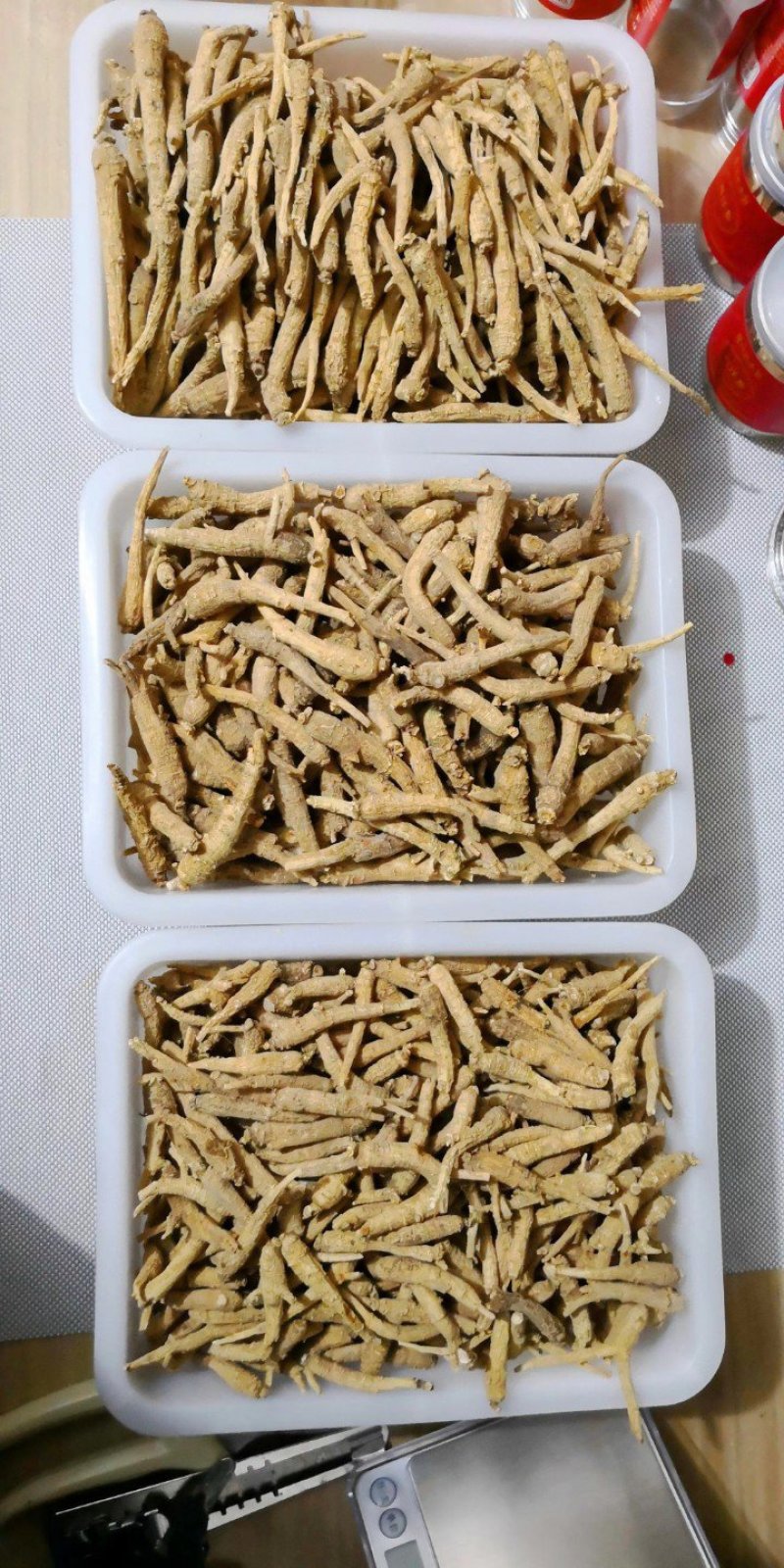 整支西洋参视频打粉，看的见的品质，用的放心
