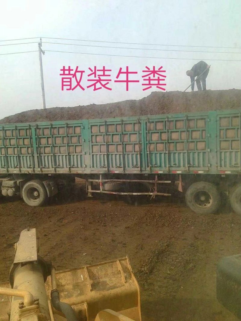 纯干牛粪，颗粒牛粪，风干牛粪，牛粪颗粒，纯牛粪肥