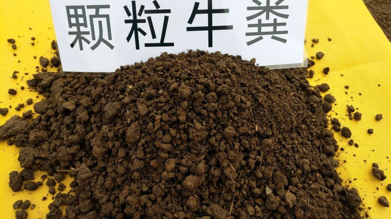 纯干牛粪，颗粒牛粪，风干牛粪，牛粪颗粒，纯牛粪肥