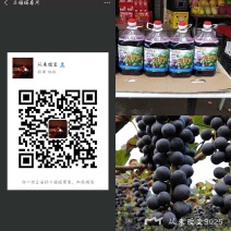 葡萄酒