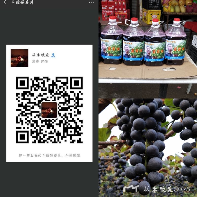 葡萄酒