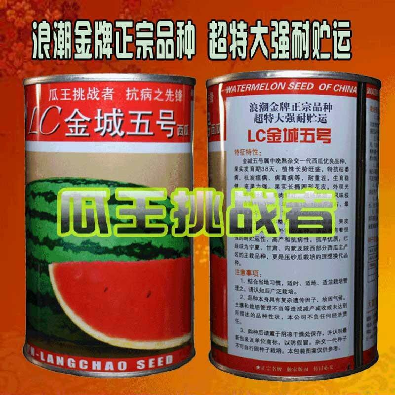特大西瓜种子金城五号高产耐旱中晚熟西瓜种免整枝懒汉瓜红心