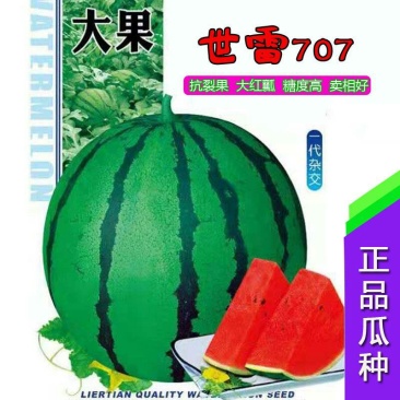 世雷707高产西瓜种子原装50克