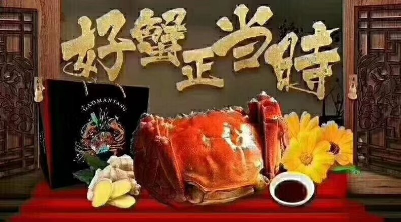 盘锦河蟹，大闸蟹，1.3—1.6公蟹