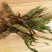 见血清羊耳蒜见血莲立地好走子草中药材一公斤包邮