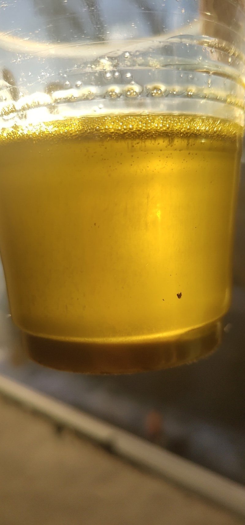 优质油菜籽1级新疆油菜籽大量上市厂家货源
