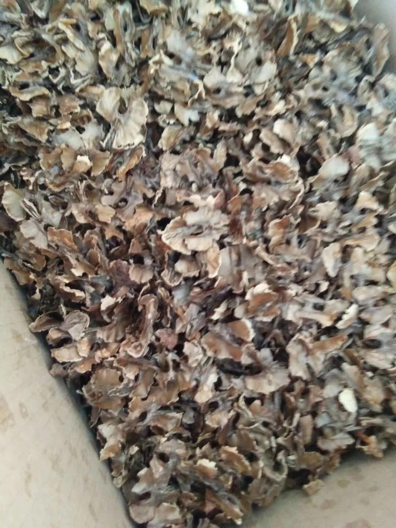 产地直发云南漾濞县核桃分心木50元一箱，净8斤包邮