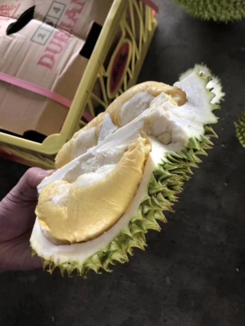 巴掌金枕榴莲巴掌干尧榴莲泰国产地直销