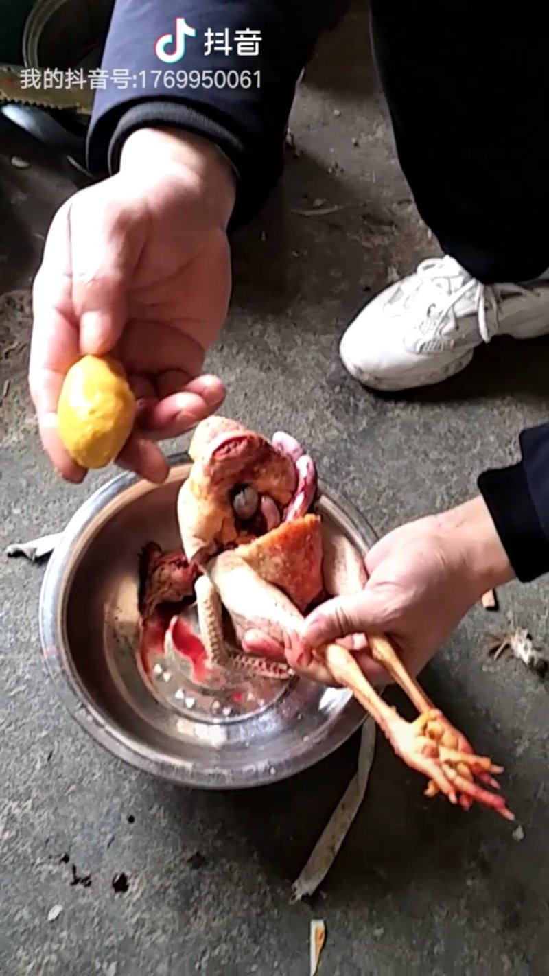 前几天亲戚家养的鸡，有几年了不下蛋，我杀鸡的时候杀出来的
