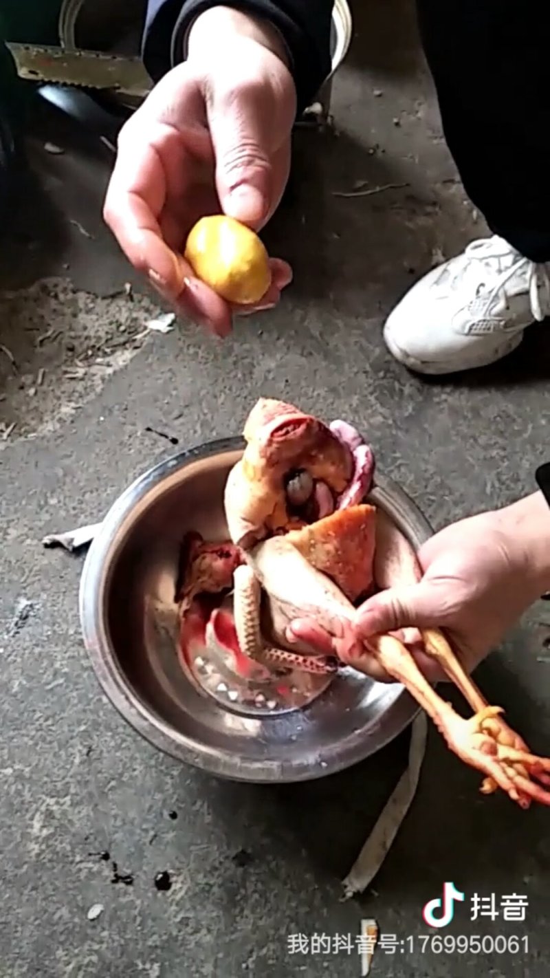 前几天亲戚家养的鸡，有几年了不下蛋，我杀鸡的时候杀出来的