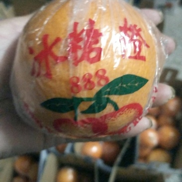 橙子麻阳冰糖橙