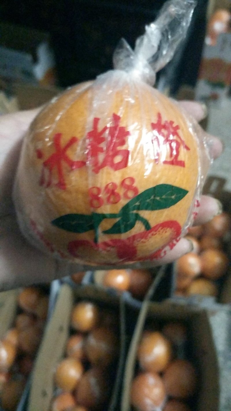 橙子麻阳冰糖橙