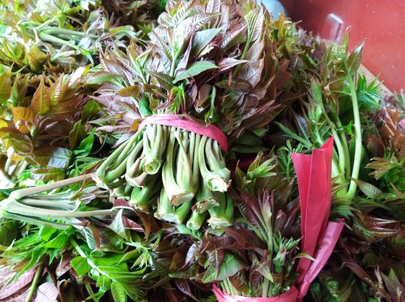 香椿芽15cm专业代发，快递，空运直达