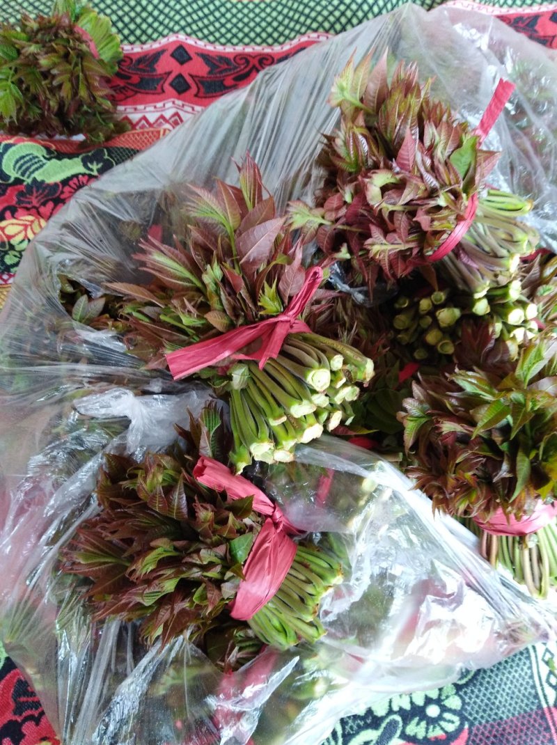 香椿芽15cm专业代发，快递，空运直达