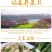 临泉特产诸葛菜