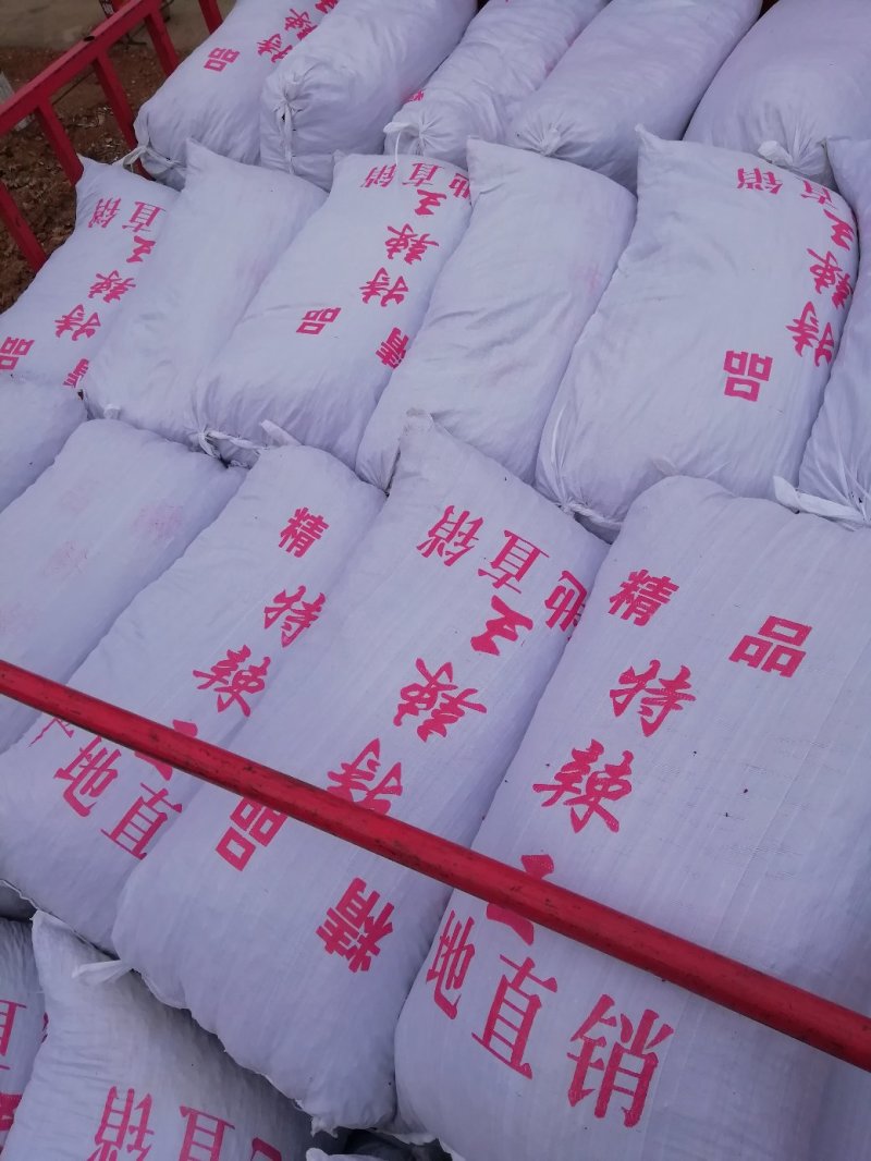 辣椒王5~10厘米特辣红产地直发量大优惠欢迎下单咨询