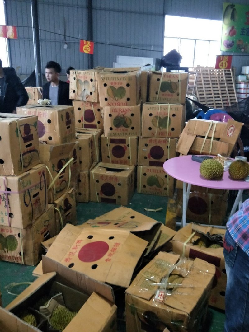 常年供应金枕，干扰，老树猫山王！产地越南，泰国，马来西亚