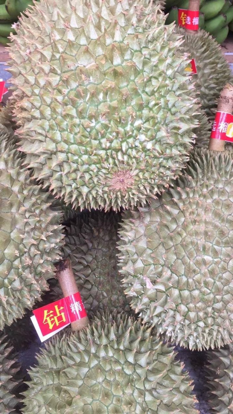 常年供应金枕，干扰，老树猫山王！产地越南，泰国，马来西亚