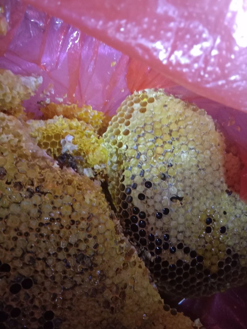纯正纯野生蜂蜜