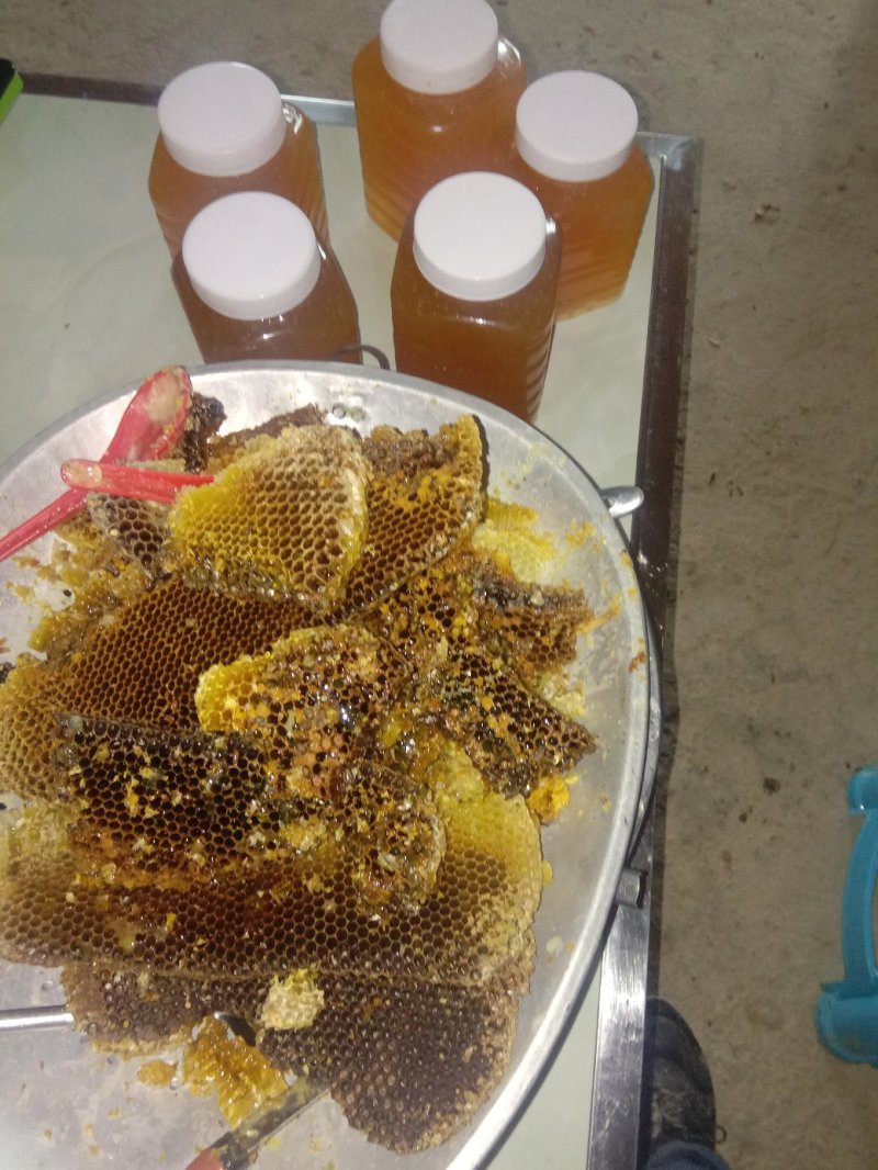 纯正纯野生蜂蜜