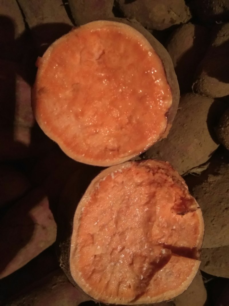 西瓜红地瓜，