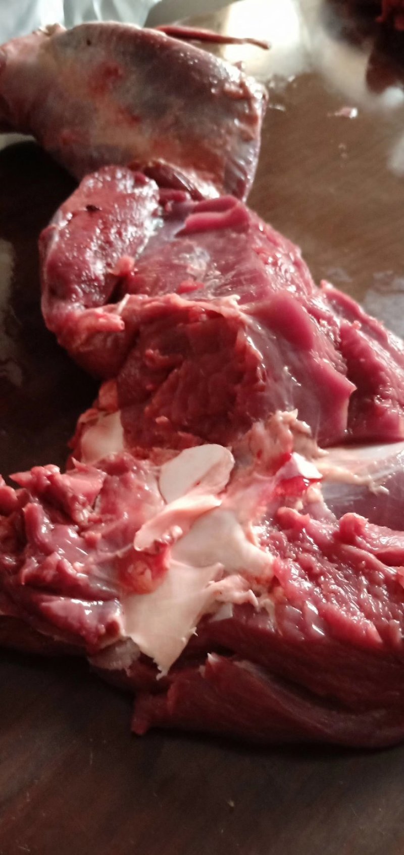 新鲜鸵鸟肉新鲜鸵鸟蛋，可孵化可食用，鸵鸟蛋鸵鸟肉