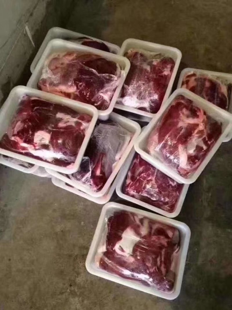 新鲜鸵鸟肉新鲜鸵鸟蛋，可孵化可食用，鸵鸟蛋鸵鸟肉