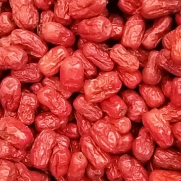 天然无核枣厂家直供以质论价量大优惠