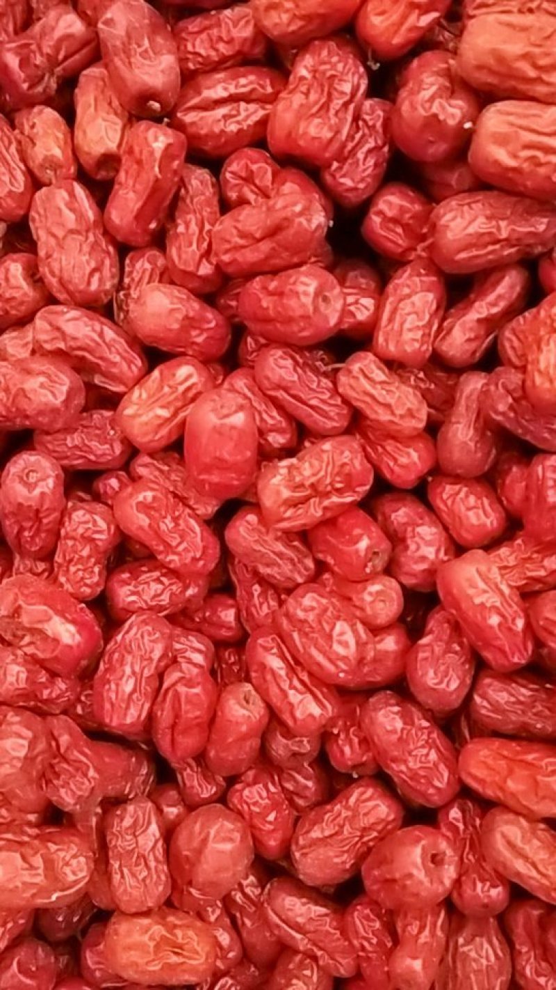 天然无核枣厂家直供以质论价量大优惠
