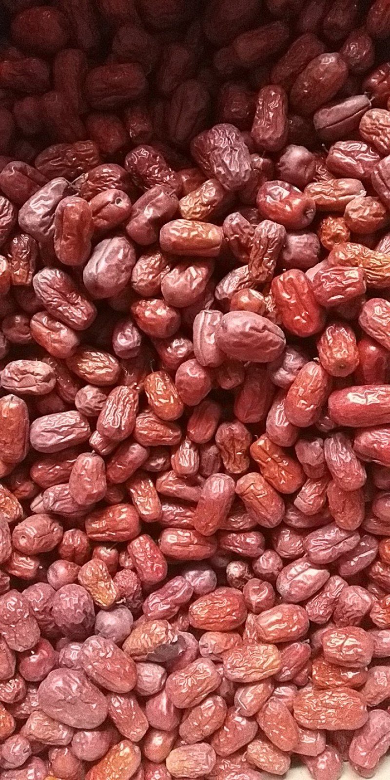 天然无核枣厂家直供以质论价量大优惠