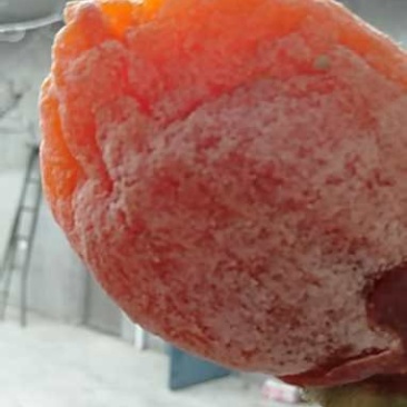 柿饼