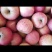 烟台栖霞苹果🍎
