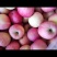 烟台栖霞苹果🍎