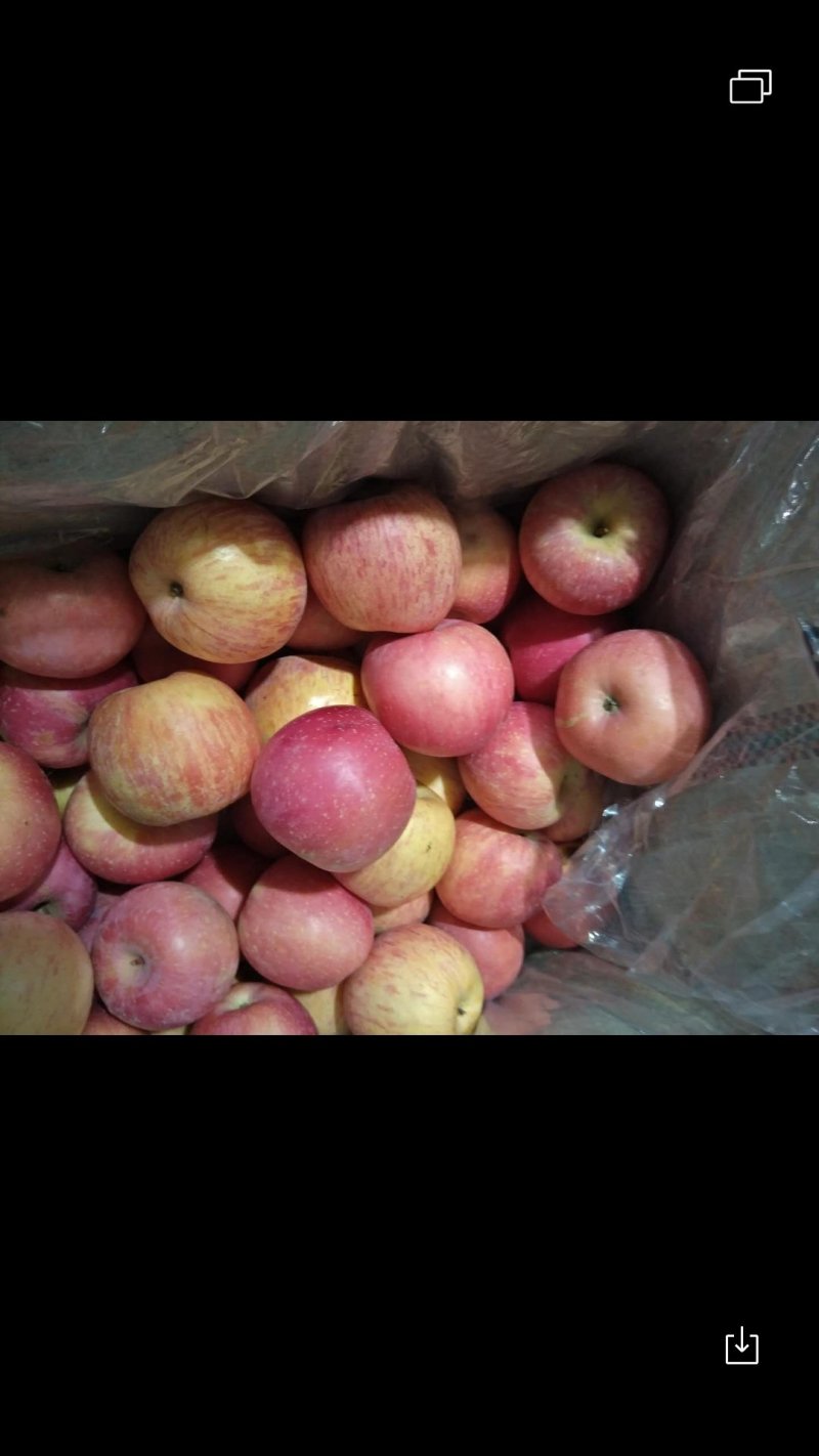 烟台栖霞苹果🍎