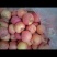 烟台栖霞苹果🍎