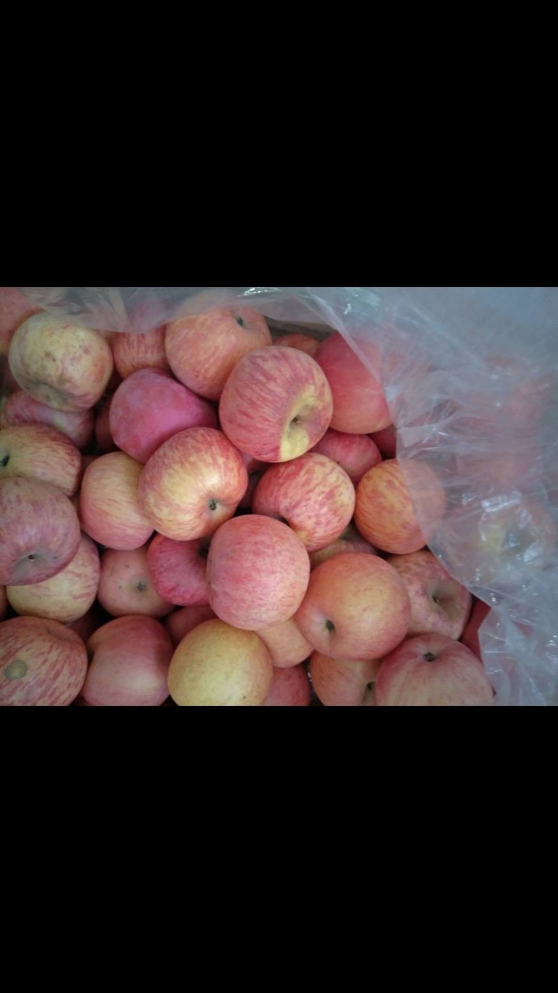 烟台栖霞苹果🍎