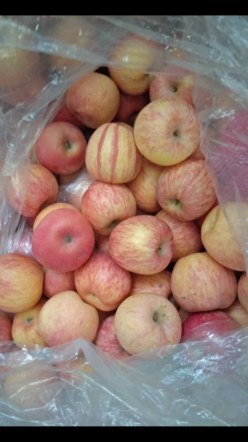 烟台栖霞苹果🍎