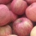 烟台栖霞苹果🍎