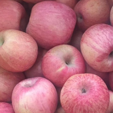 烟台栖霞苹果🍎
