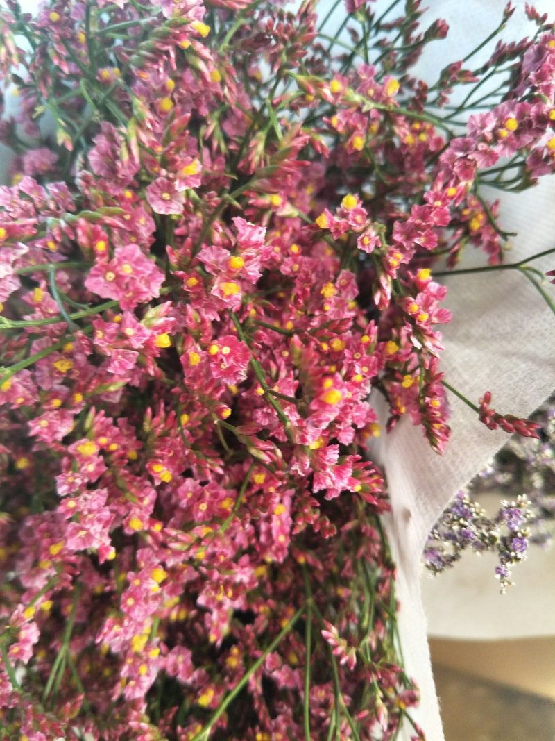 鲜切花