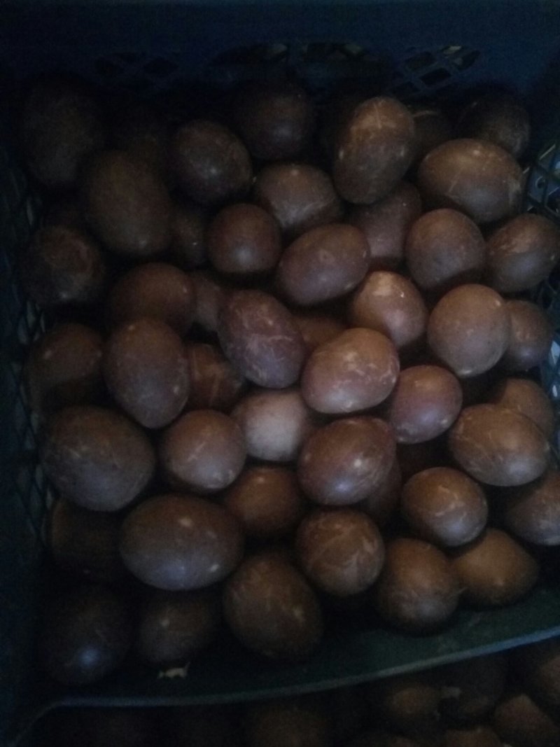 雄安新区白洋淀特产鸭蛋
