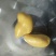 中药动物类