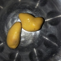 中药动物类
