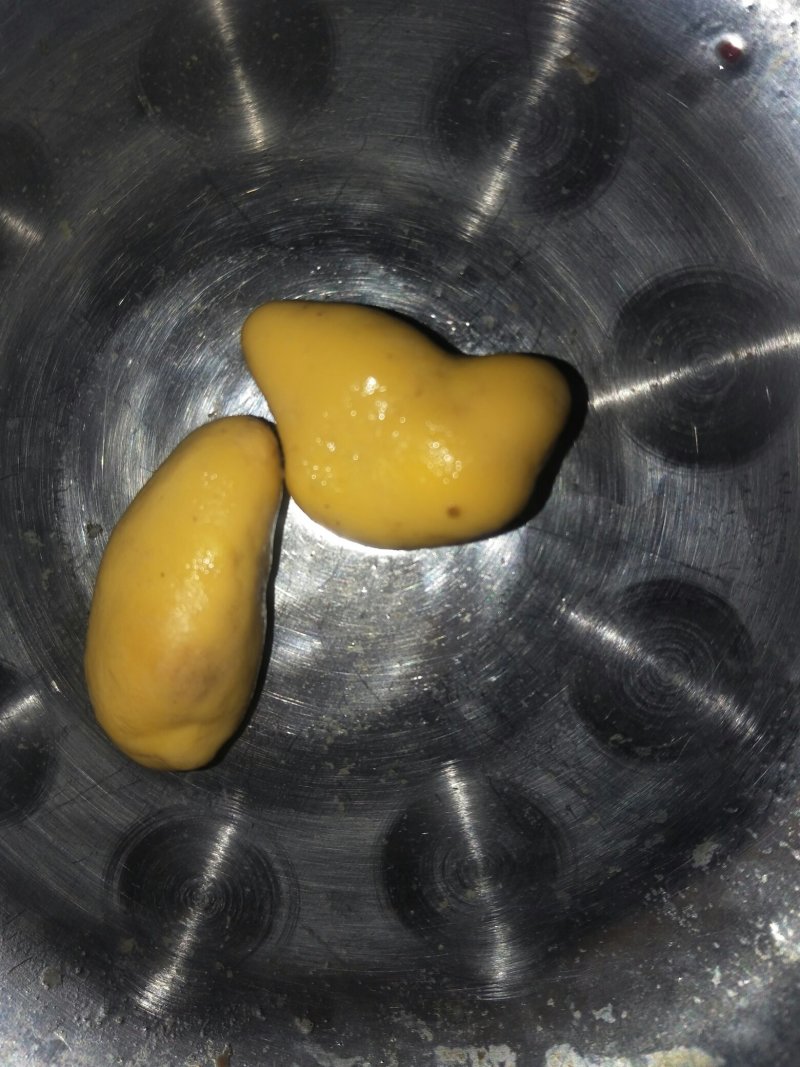 中药动物类